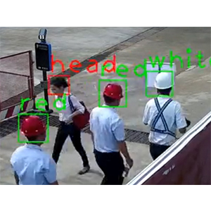 AI智能识别系统